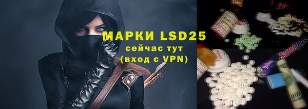 прущие грибы Балахна