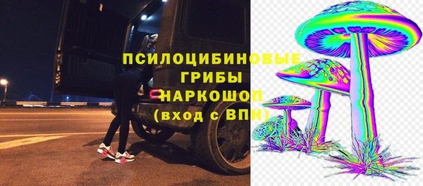 прущие грибы Балахна