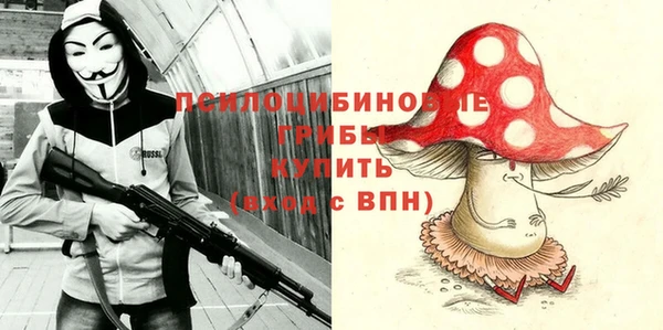 прущие крисы Баксан