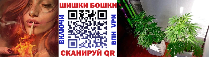 Конопля Bruce Banner Шагонар